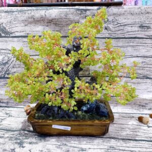 Cây tài lộc phong thuỷ đá Peridot